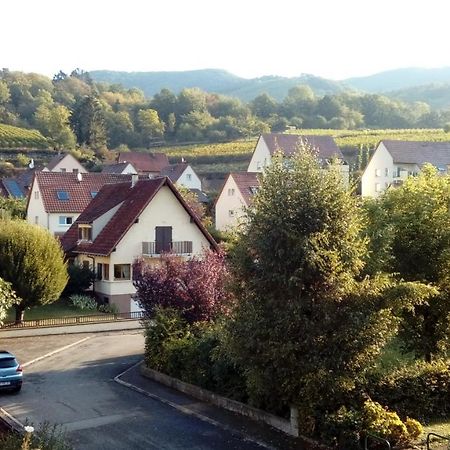 Marcia Donatti - A l'Ombre des Coteaux Sao Paulo Kaysersberg-Vignoble Exterior foto