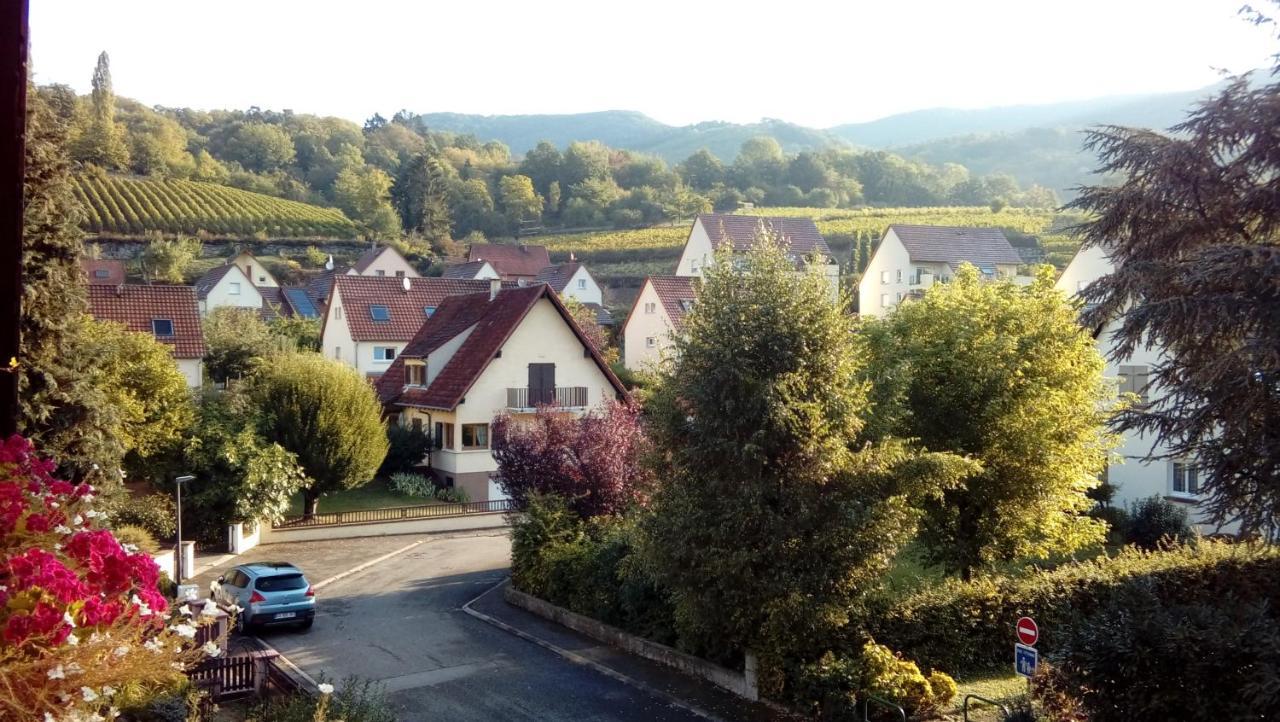 Marcia Donatti - A l'Ombre des Coteaux Sao Paulo Kaysersberg-Vignoble Exterior foto