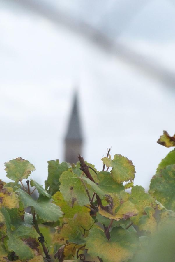 Marcia Donatti - A l'Ombre des Coteaux Sao Paulo Kaysersberg-Vignoble Exterior foto