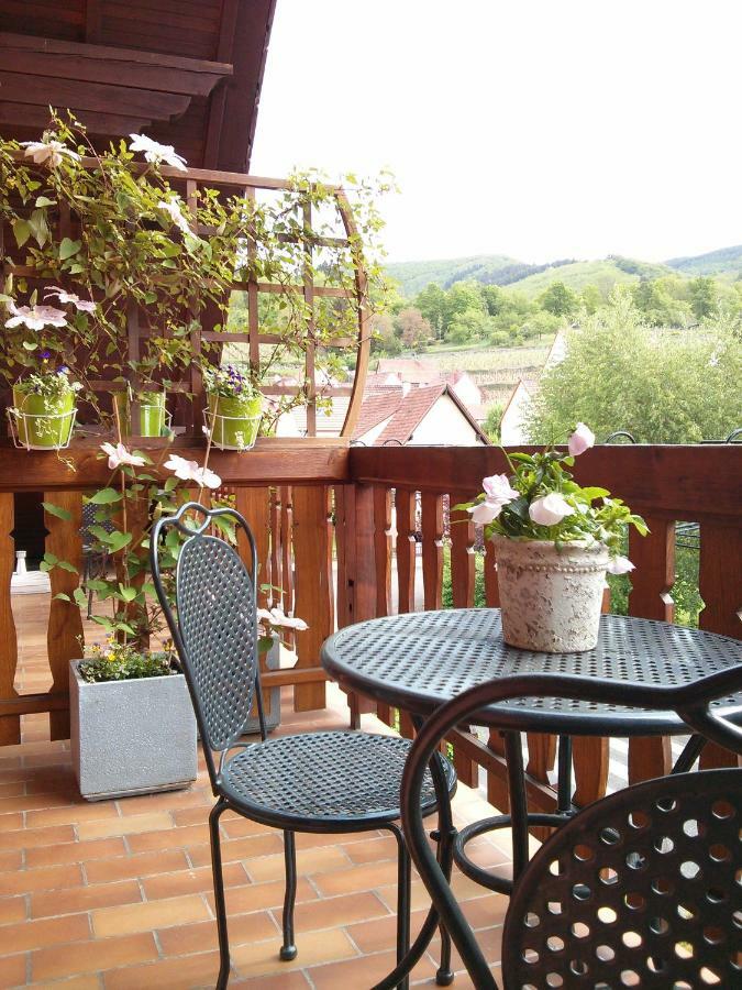 Marcia Donatti - A l'Ombre des Coteaux Sao Paulo Kaysersberg-Vignoble Exterior foto