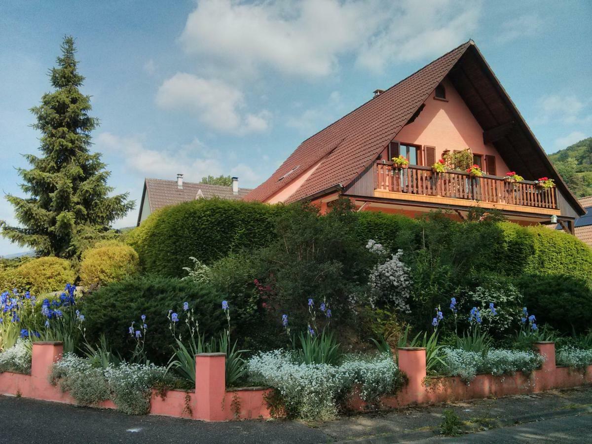 Marcia Donatti - A l'Ombre des Coteaux Sao Paulo Kaysersberg-Vignoble Exterior foto
